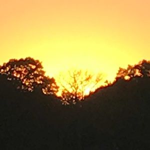 Meet your Posher, Kallie